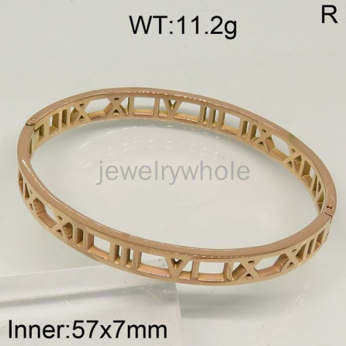 SS Bangles  TZ500236vhov-607