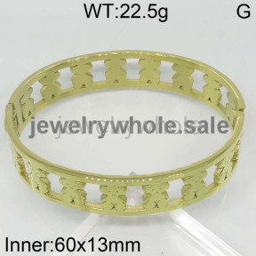 SS Bangle  TZ600005viia-317