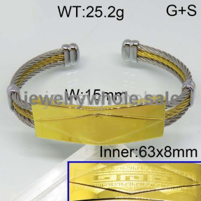 SS Bangle  TZ600034vhoa-349