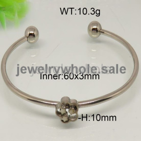 SS Bangle  TZ600036bbov-312