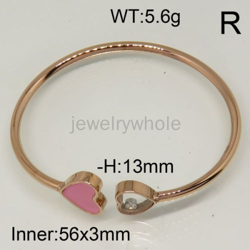 SS Bangles  TZ600235vila-415