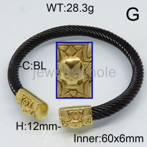 SS Bangles  TZ600311aivb-336