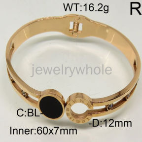 SS Bangles  TZ600398vhmv-371