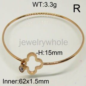 SS Bangles  TZ600418bhva-493