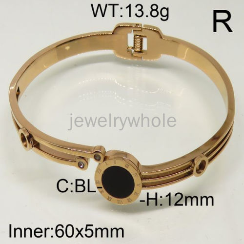 SS Bangles  TZ600421ahpv-493