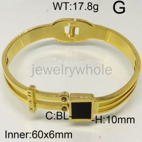 SS Bangles  TZ600423vhov-493