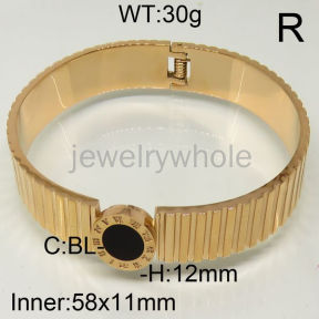 SS Bangles  TZ600426ahpv-493