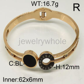 SS Bangles  TZ600432ahpv-493