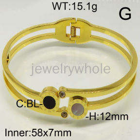 SS Bangles  TZ600434vhov-493