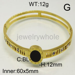 SS Bangles  TZ600447vhov-493