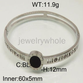 SS Bangles  TZ600449ahlv-493