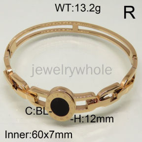 SS Bangles  TZ600451ahpv-493