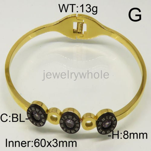 SS Bangles  TZ600453vhov-493