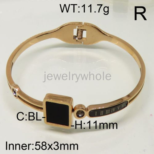 SS Bangles  TZ600457ahpv-493