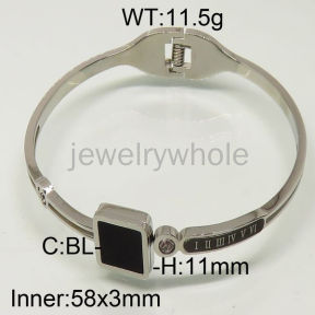 SS Bangles  TZ600458ahlv-493