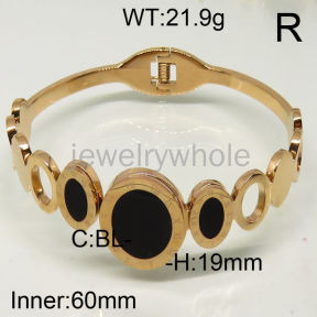 SS Bangles  TZ600463ahpv-493