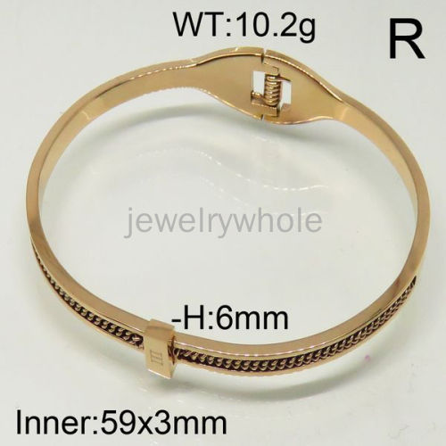 SS Bangles  TZ600469vhmv-493