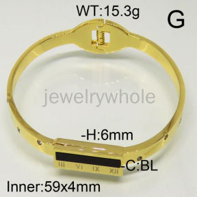 SS Bangles  TZ600471vhnv-493