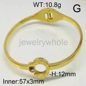 SS Bangles  TZ600473ahlv-493