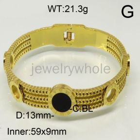 SS Bangles  TZ600523vina-371