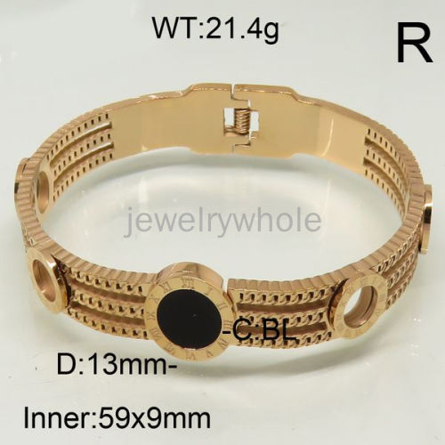 SS Bangles  TZ600524vina-371