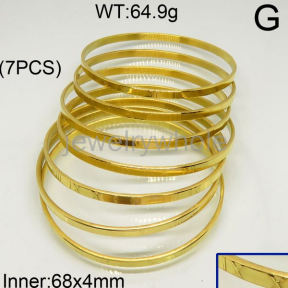 SS Bangles  TZ600611ahlv-423