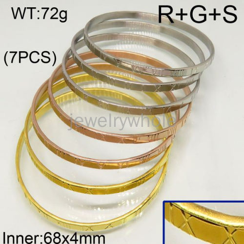 SS Bangles  TZ600612ahjb-423