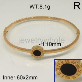 SS Bangles  TZ600678ahlv-434