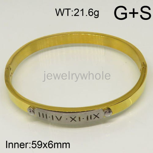 SS Bangles  TZ600686vhov-683